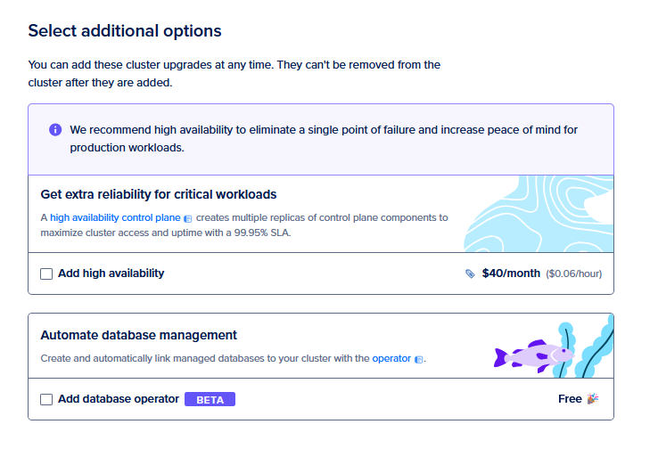 Capture of Digital Ocean, Select additional option page. Nothing is highlighted here.