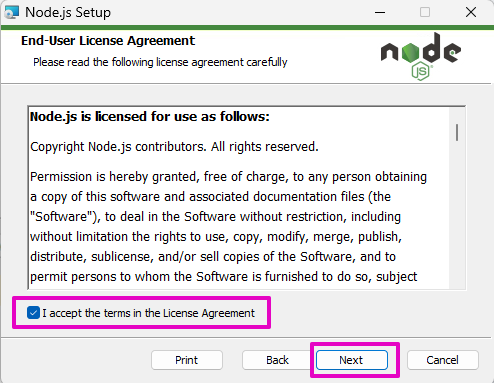 Capture of Node.js Setup End-User License Agreement text: "I accept the terms in the License Agreement" checked at lower left and "Next" at lower right both highlighted in bright purple.
