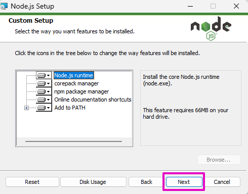 Capture of Node.js Setup, Custom Setup. "Next" at the lower right highlighted in purple.