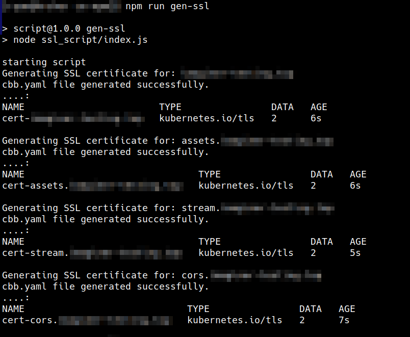 Capture from VS code, terminal window. After entering "npm run gen-ssl" resulting text includes "Generating SSL certificate for: assets..." and "Generated SSL certificate for: cors..."