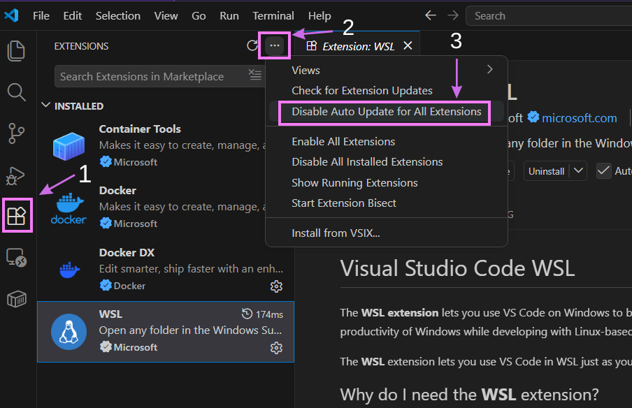 Capture of VS Code, Extensions tab, "Disable Auto Update for All Extensions" is highlighted.