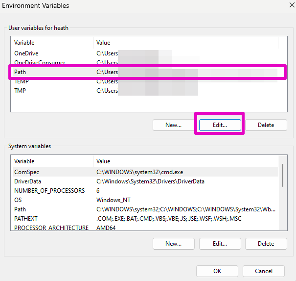 Capture of Environment Variables popup. "Path" and "Edit..." are highlighted in purple.