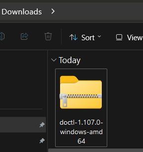 Capture of example Downloads folder in Windows. "doctl-1.107.0-windows-amd64" folder icon.