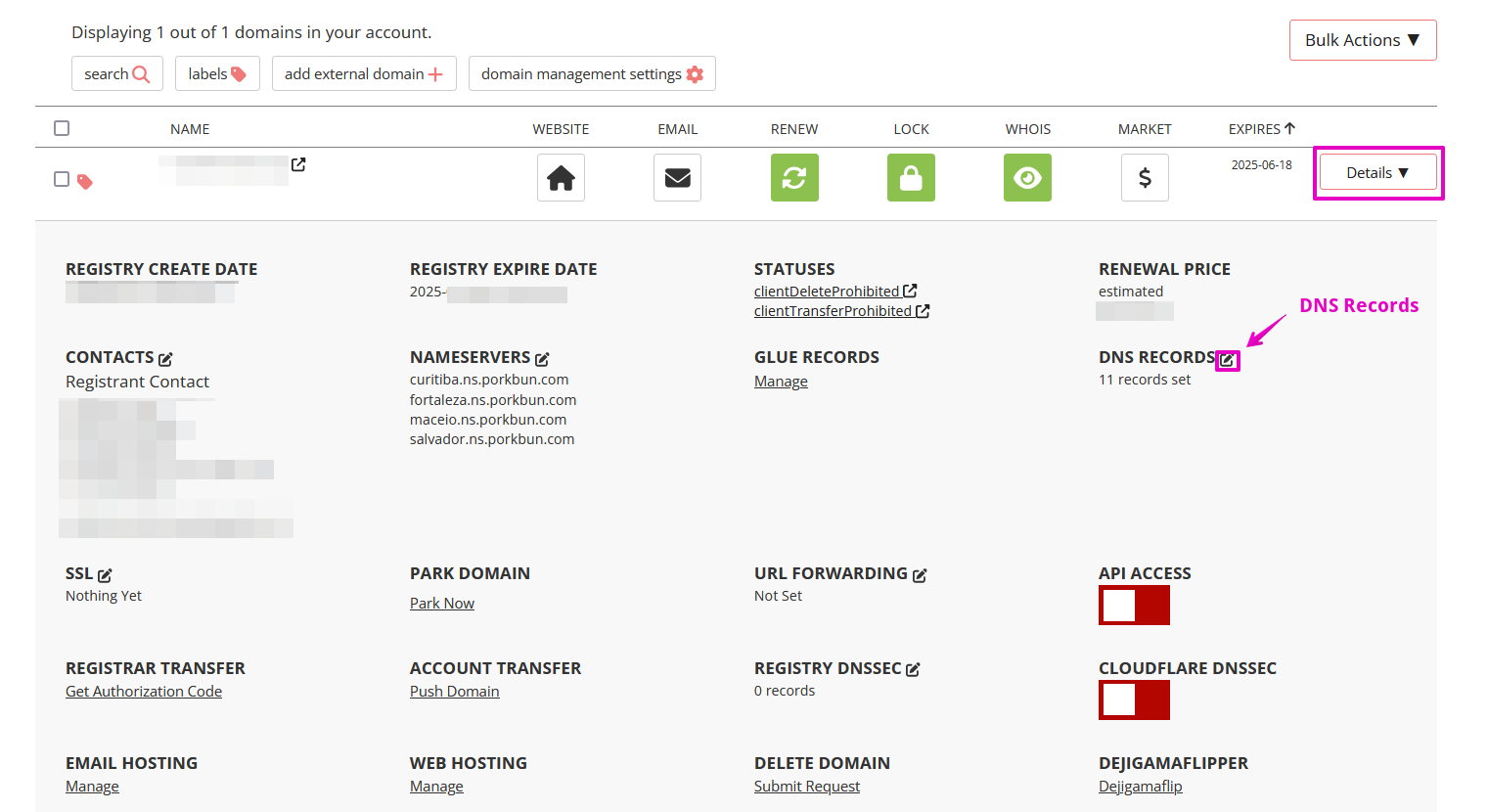 Capture of Porkbun, Domain Management, Details page. "DNS Records" pop out button is highlighted in purple.