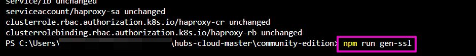 Capture from VS Code, terminal window. Text: npm run gen-ssl highlighted in purple.