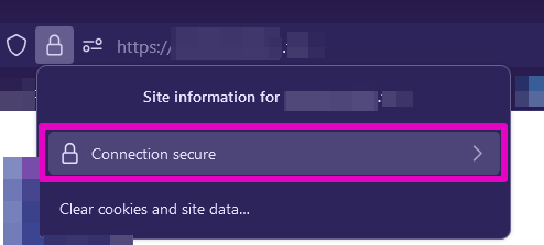Capture of browser address bar with choice of Connection secure and lock icon highlighted in purple.