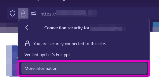 Capture of browser address bar with choice "More information" highlighted in purple.